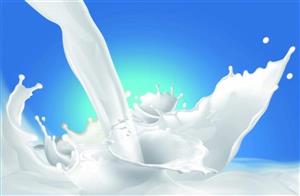Bộ Tài chính: Giá sữa chưa giảm vì lương, điện, tỷ giá tăng